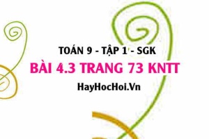 Bài 4.3 trang 73 Toán 9 tập 1 Kết nối tri thức